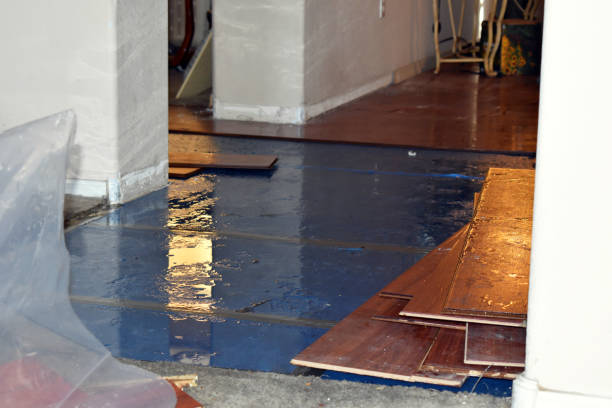 Professional Sewage Cleanup technician working in Kingston, NY